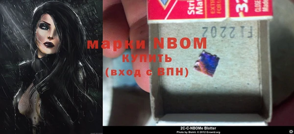 прущий лед Няндома