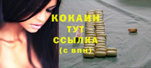 прущий лед Няндома