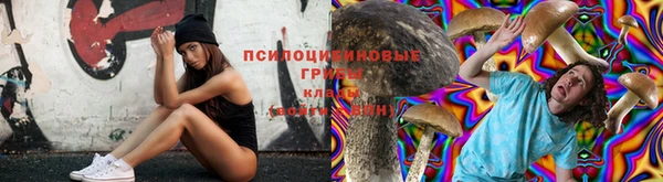 винт Нязепетровск