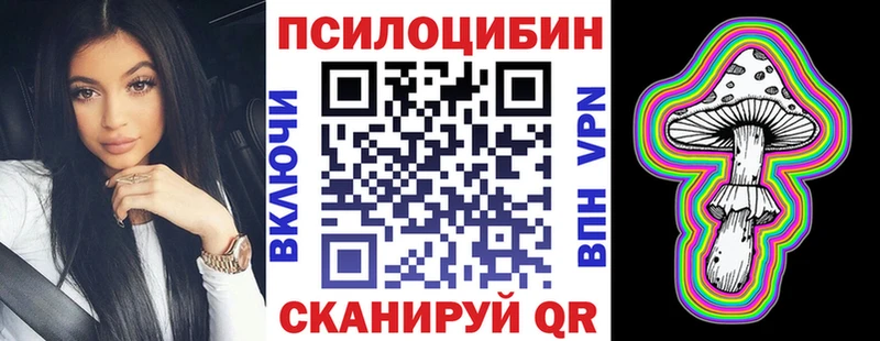omg ССЫЛКА  Липки  Псилоцибиновые грибы Psilocybe 